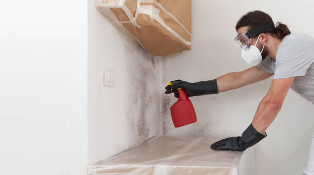 Professional Mold Inspection And Testing technician working in Cedarhurst, NY
